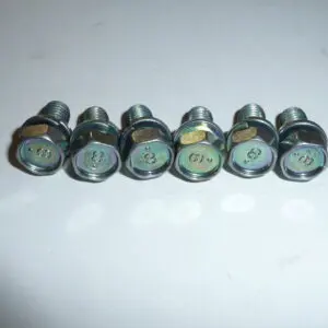 Six metal bolts on a white surface.